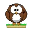 Owl Pounce