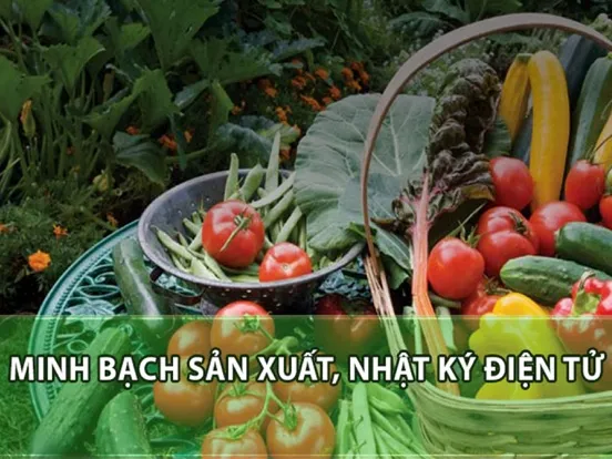 Tangkapan layar eGarden iPad 