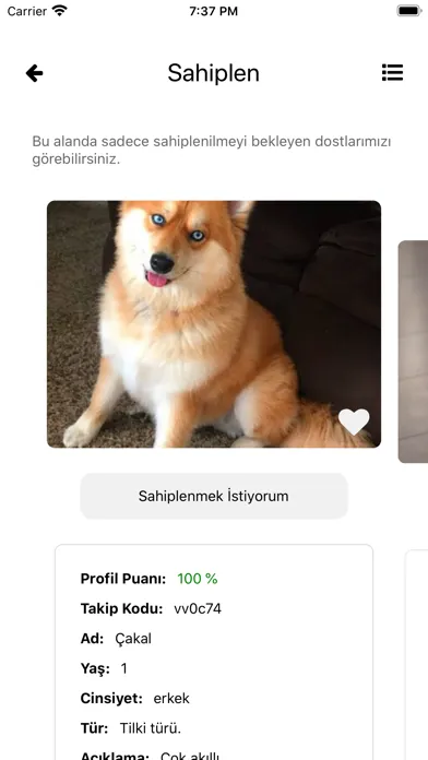 Petibon Pet App Screenshots