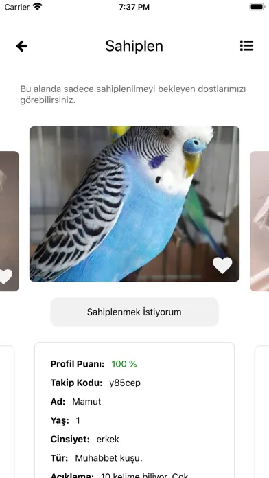 Petibon Pet App Screenshots