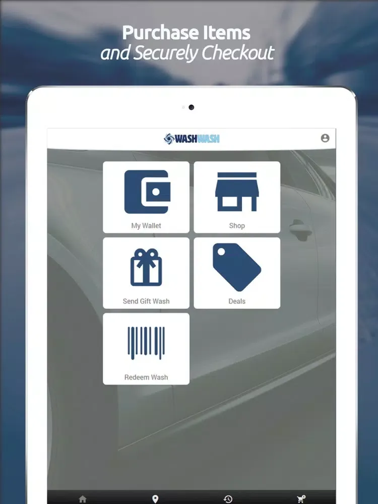 Скриншоты WASHWASH iPad 