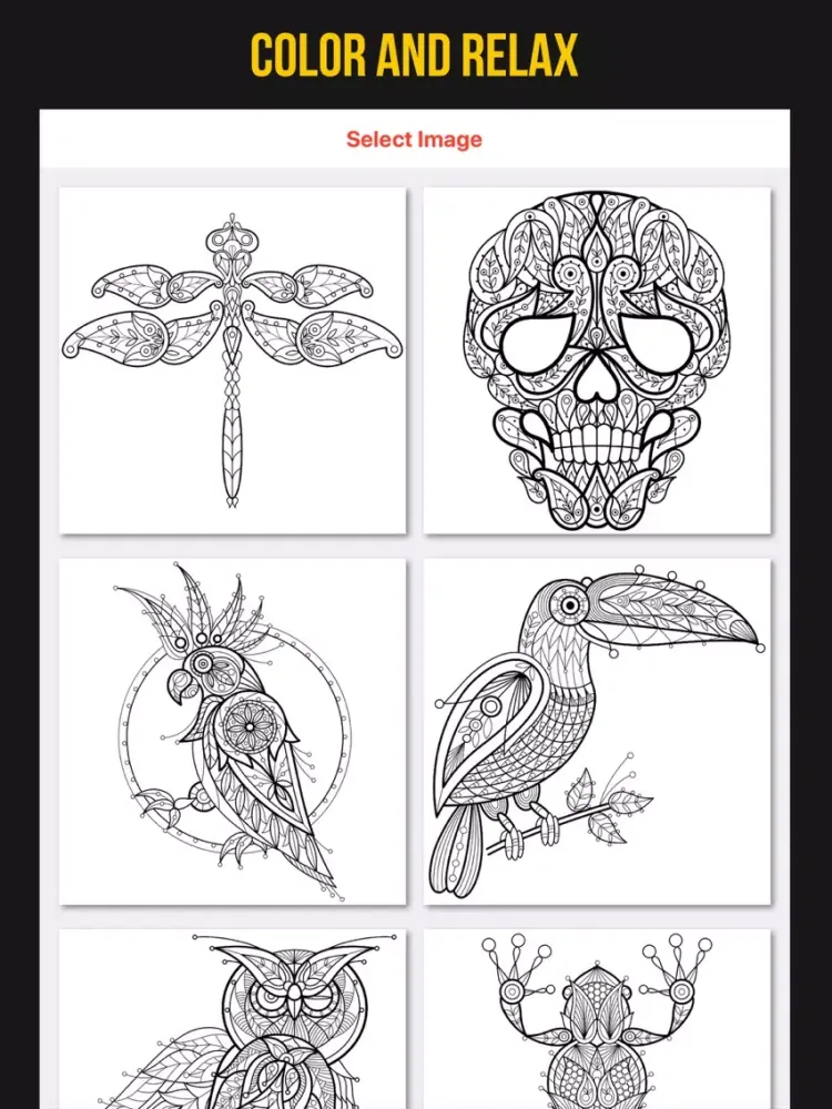 صور Colorama - Animal Color Book iPad 