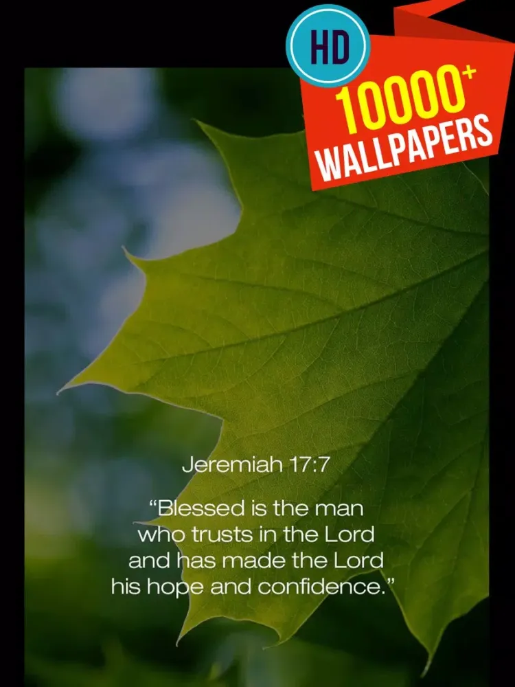 Screenshot di Thank.s giving Bible Verses iPad 