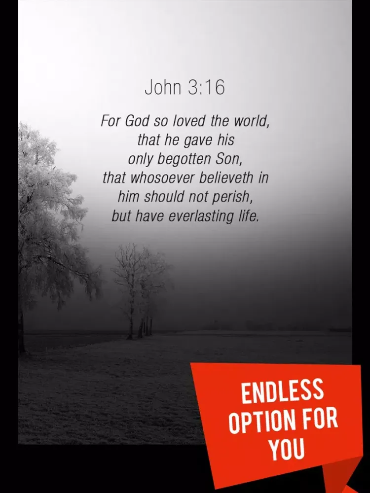 Screenshot di Thank.s giving Bible Verses iPad 