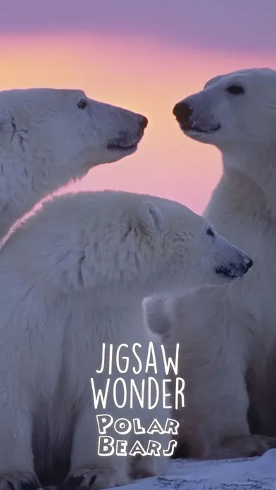 Zrzuty ekranu Jigsaw Wonder Polar Bear Puzzles for Kids Free
