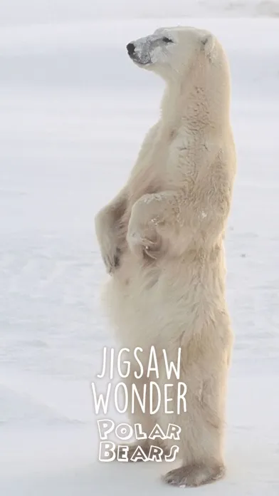 Zrzuty ekranu Jigsaw Wonder Polar Bear Puzzles for Kids Free
