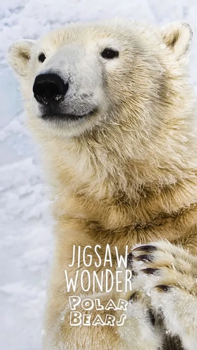 Zrzuty ekranu Jigsaw Wonder Polar Bear Puzzles for Kids Free