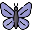 Kelebek