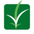 Zafra Cambios