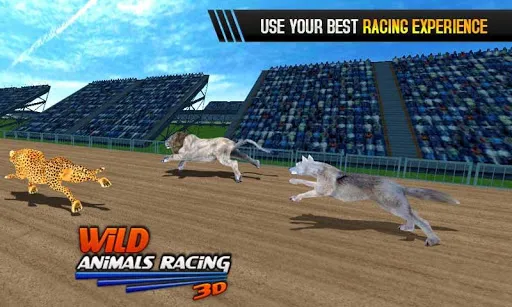 Wild Animals Racing 3D應用截圖
