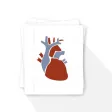 Anatomy-Physiology Flash card Anatomy-Physiology Flash card