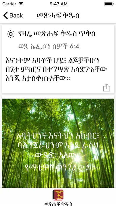 Tangkapan skrin Amharic Bible with Audio