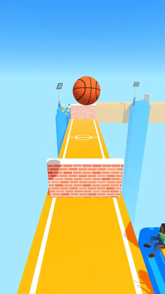 Ảnh chụp màn hình của Air Ball 3D: Basketball Runner