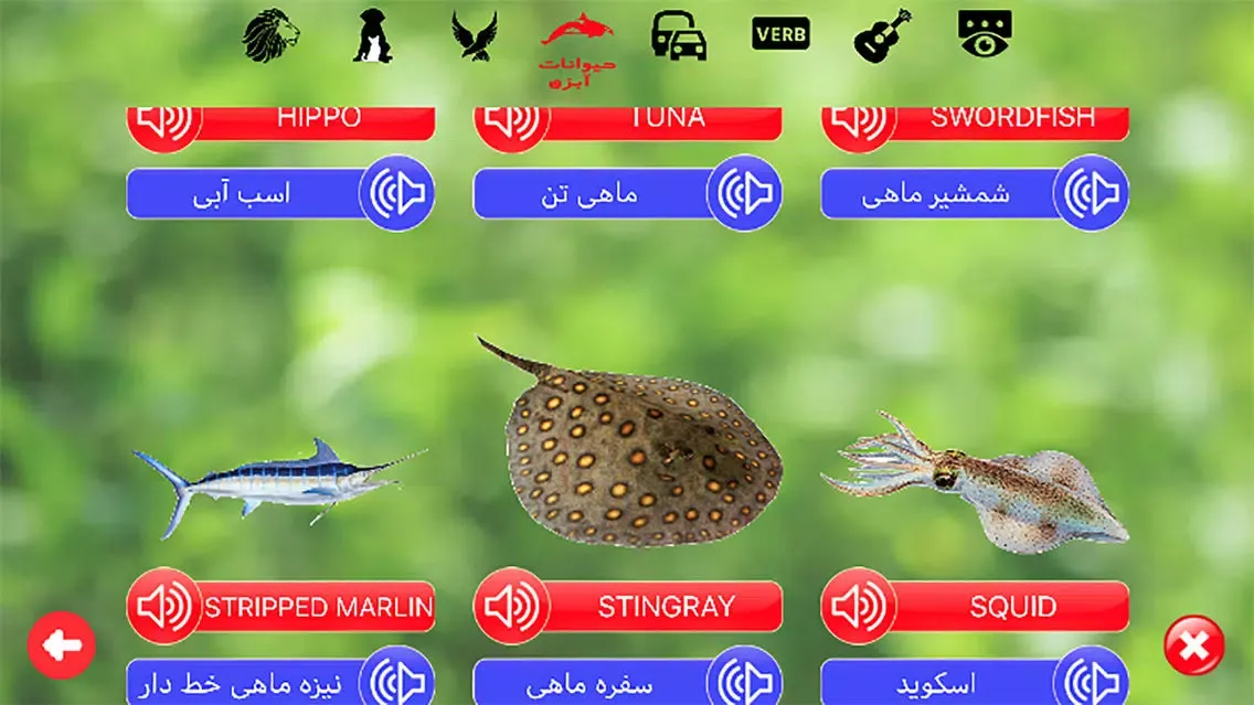 صور انگلیسی برای کودکان