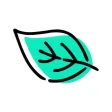 Dear Greenest Place