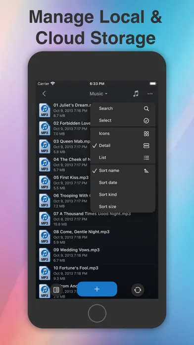 Phone Drive Lite: File Manager 스크린샷