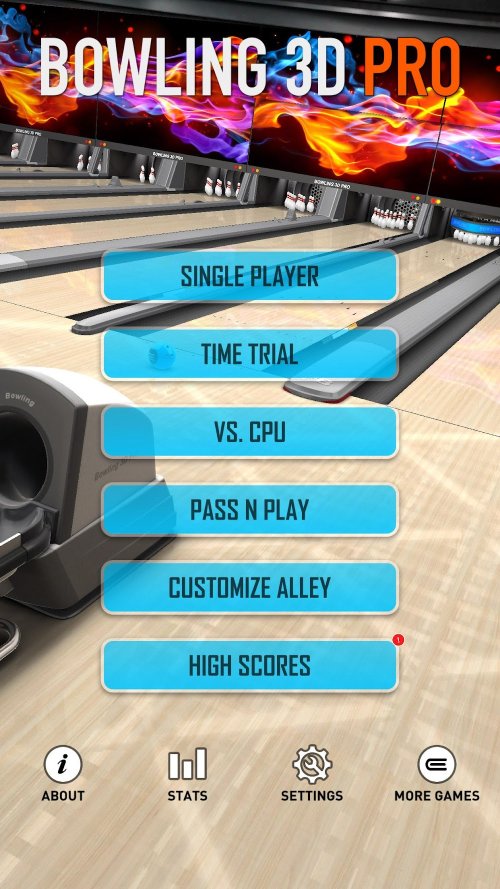 Bowling 3D Pro-screenshot-4