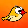 Amazing Bird Game Amazing Bird Game