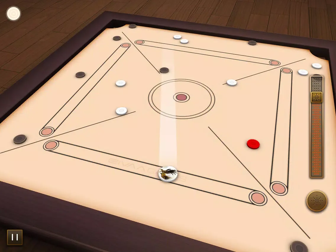 Carrom 3D Plus iPad 应用截图