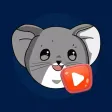 Chinchilla Time