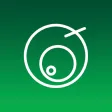 Обучение коучингу онлайн