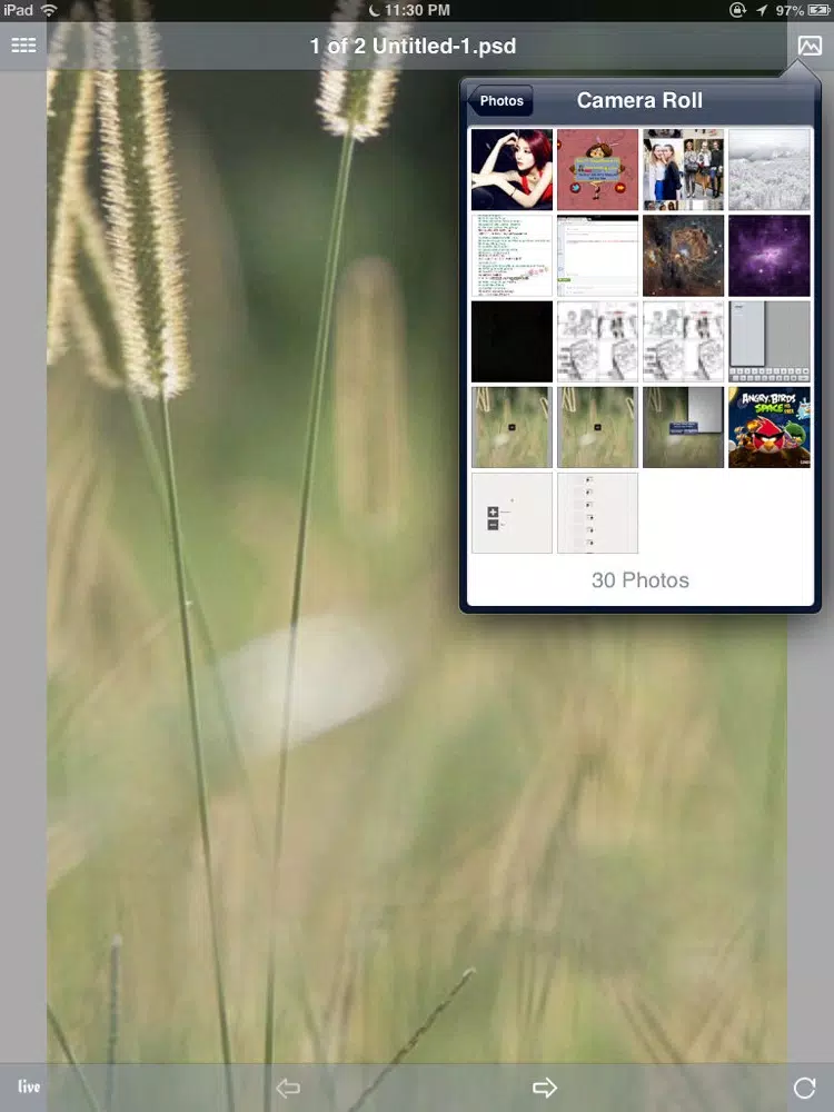 Tangkapan skrin Cast for Photoshop - Mobile Design Tools iPad 