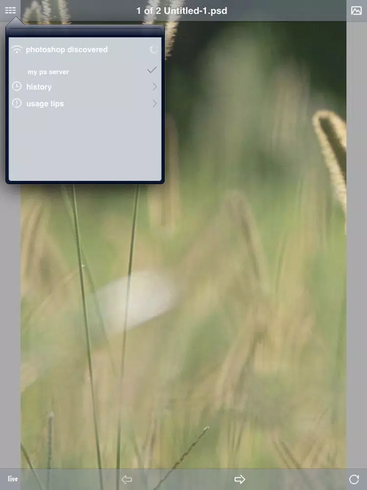 Tangkapan skrin Cast for Photoshop - Mobile Design Tools iPad 