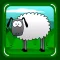 Lamb Lost (watch out for the wolf)