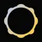 Omni: Chat with Gemini AI