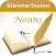 Grammar Express: Nouns Lite