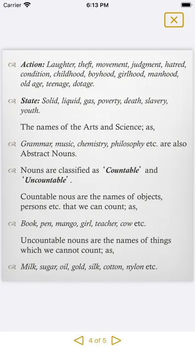 Tangkapan skrin Grammar Express: Nouns Lite