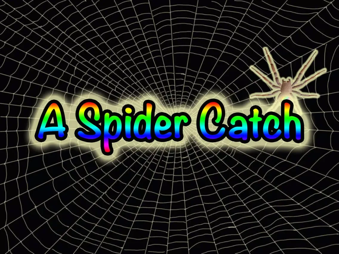3D Spider Catch - Challange Your Speed Skills iPad  سکرین شاٹس