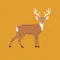 Deer Sounds & Calls