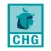 CHG Video Call