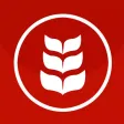 Elders Grain