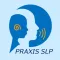 Praxis SLP Practice Test Q&A