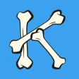 Anatomy Karma skeletal system