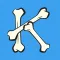 Anatomy Karma skeletal system