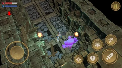 Capturas de tela do Treasure Hunter: Dungeon Fight