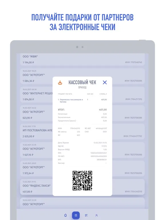 Мои чеки онлайн iPad 应用截图