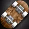 Skate Board - Sport Racing