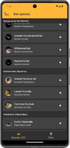 BatLib Screenshots