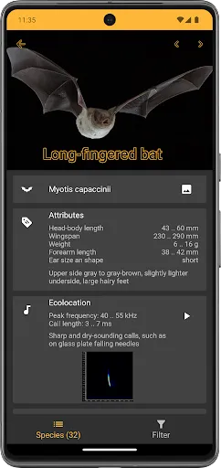 BatLib Screenshots