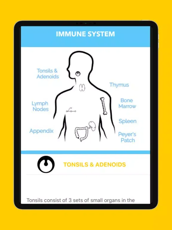 Immunity App iPad 應用截圖