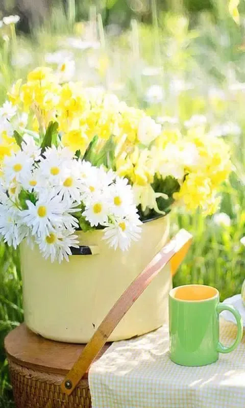 Captures d'écran de Summer Dreams LWP
