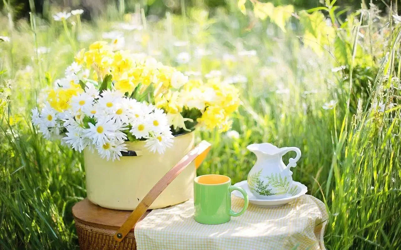 Captures d'écran de Summer Dreams LWP