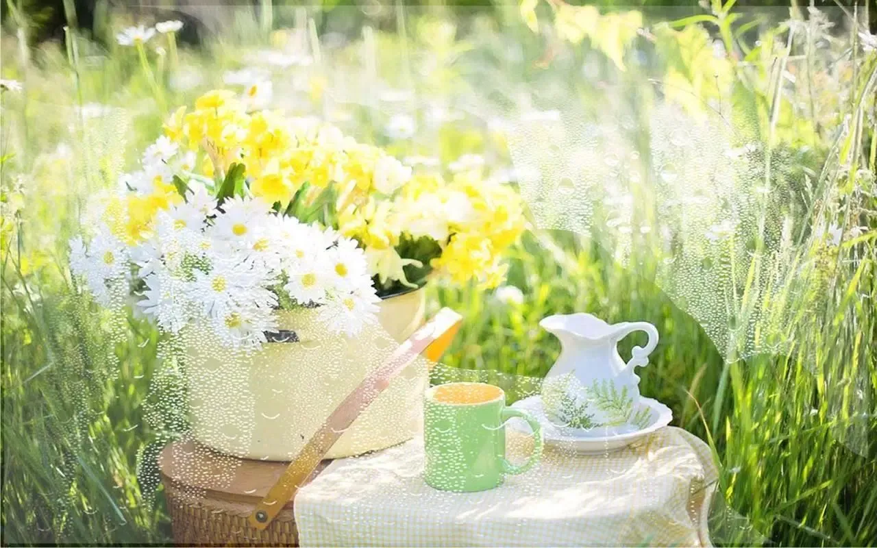 Captures d'écran de Summer Dreams LWP