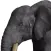 Elephant 3D