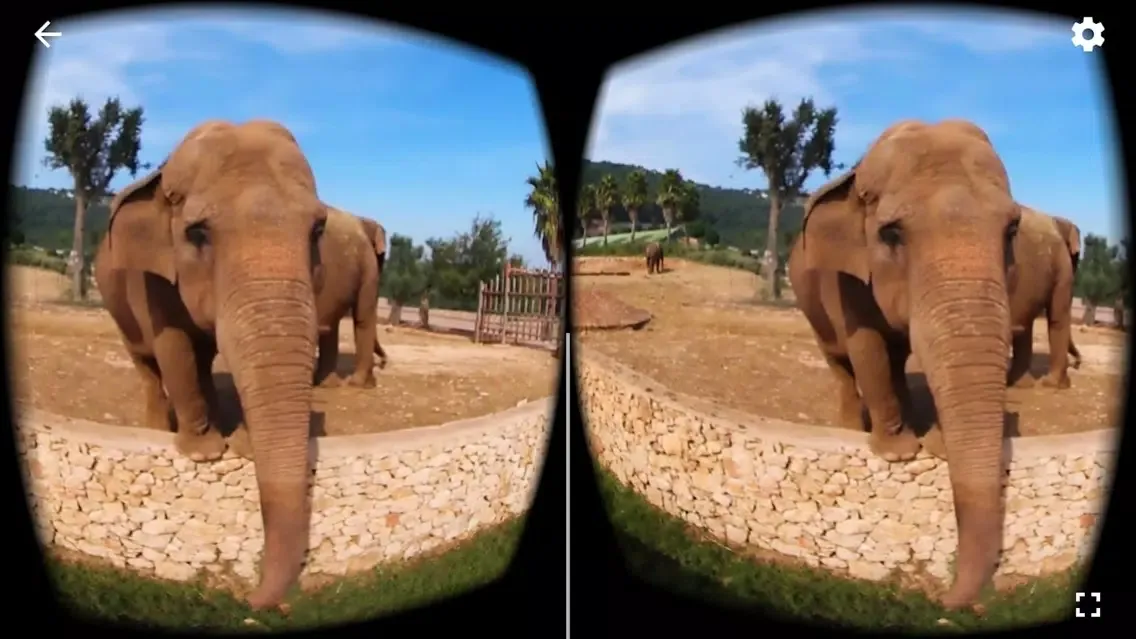 Capturas de tela do 360 VR Elephant - Nature VR Apps for Kids