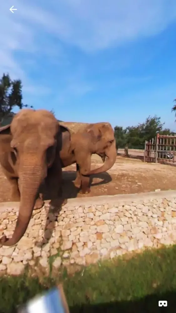 Capturas de tela do 360 VR Elephant - Nature VR Apps for Kids